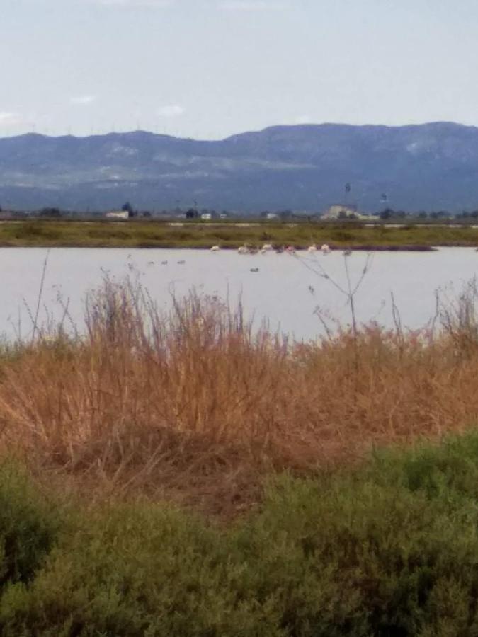 Apartamento Gelum Delta Del Ebro Sant Jaume d'Enveja Bagian luar foto