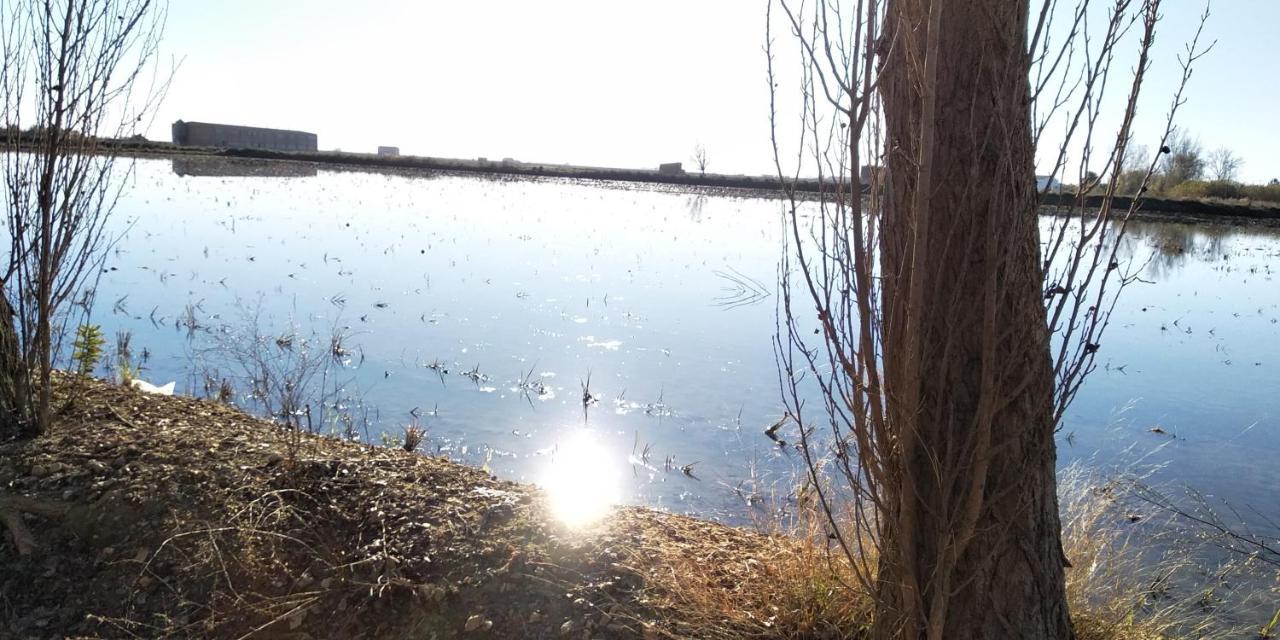Apartamento Gelum Delta Del Ebro Sant Jaume d'Enveja Bagian luar foto